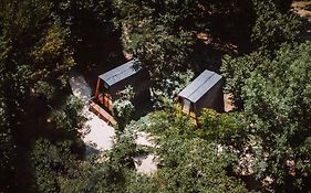 Eco Village In The Forest
